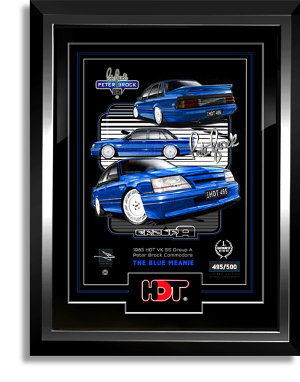 BLUE MEANIE - OFFICIAL VK SS HDT GROUP A PETER BROCK COMMODORE ARTWORK