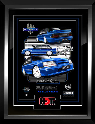 BLUE MEANIE - OFFICIAL VK SS HDT GROUP A PETER BROCK COMMODORE ARTWORK