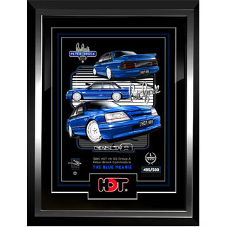 BLUE MEANIE - OFFICIAL VK SS HDT GROUP A PETER BROCK COMMODORE ARTWORK